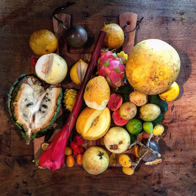 Fructe australiene // sursa foto: Instagram