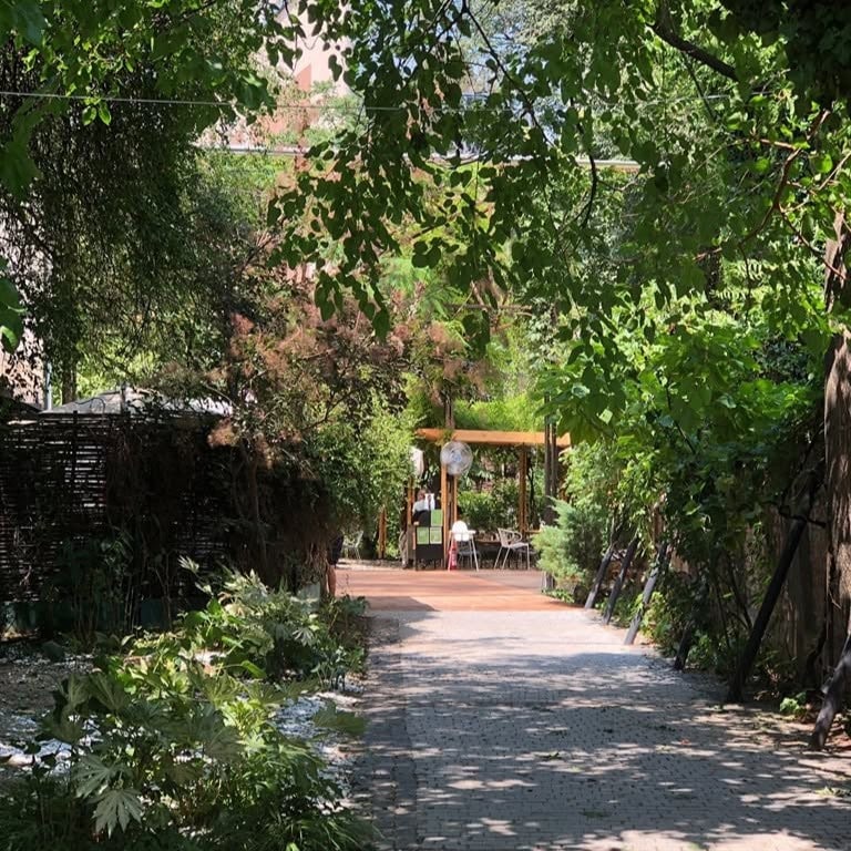 Grădina Verona din Bucuresti intr-un decor cu copaci verzi si gazon