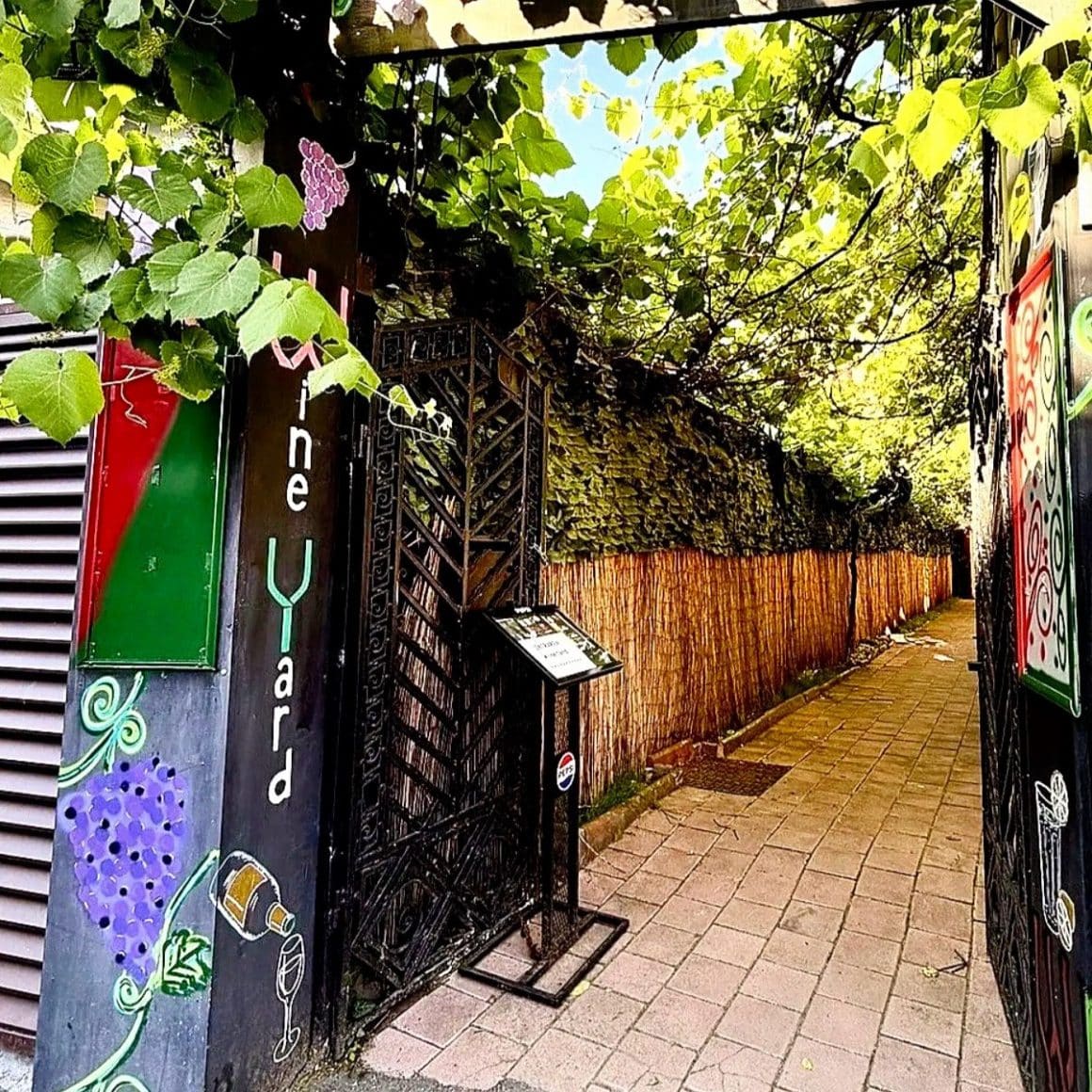 Intrarea catre terasa WineYard, acoperita cu vita de vie