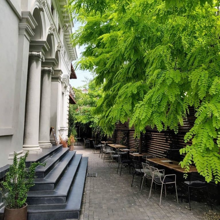 terasa cu salcami si caprifoi de la Point art Hub, una din terase verzi din București din zona Gradina Icoanei