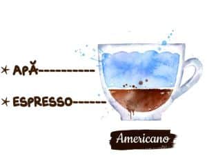Tipuri de cafele: ilustratie din acuarela asupra reprezentarii unui americano