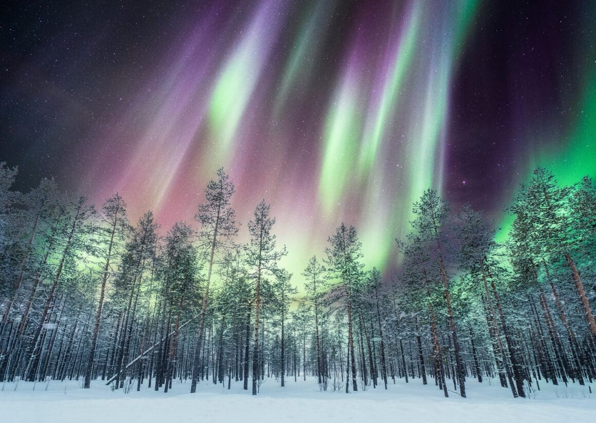 aurora boreala deasupra copacilor la cercul arctic - in vizită la Moș Crăciun în Rovaniemi