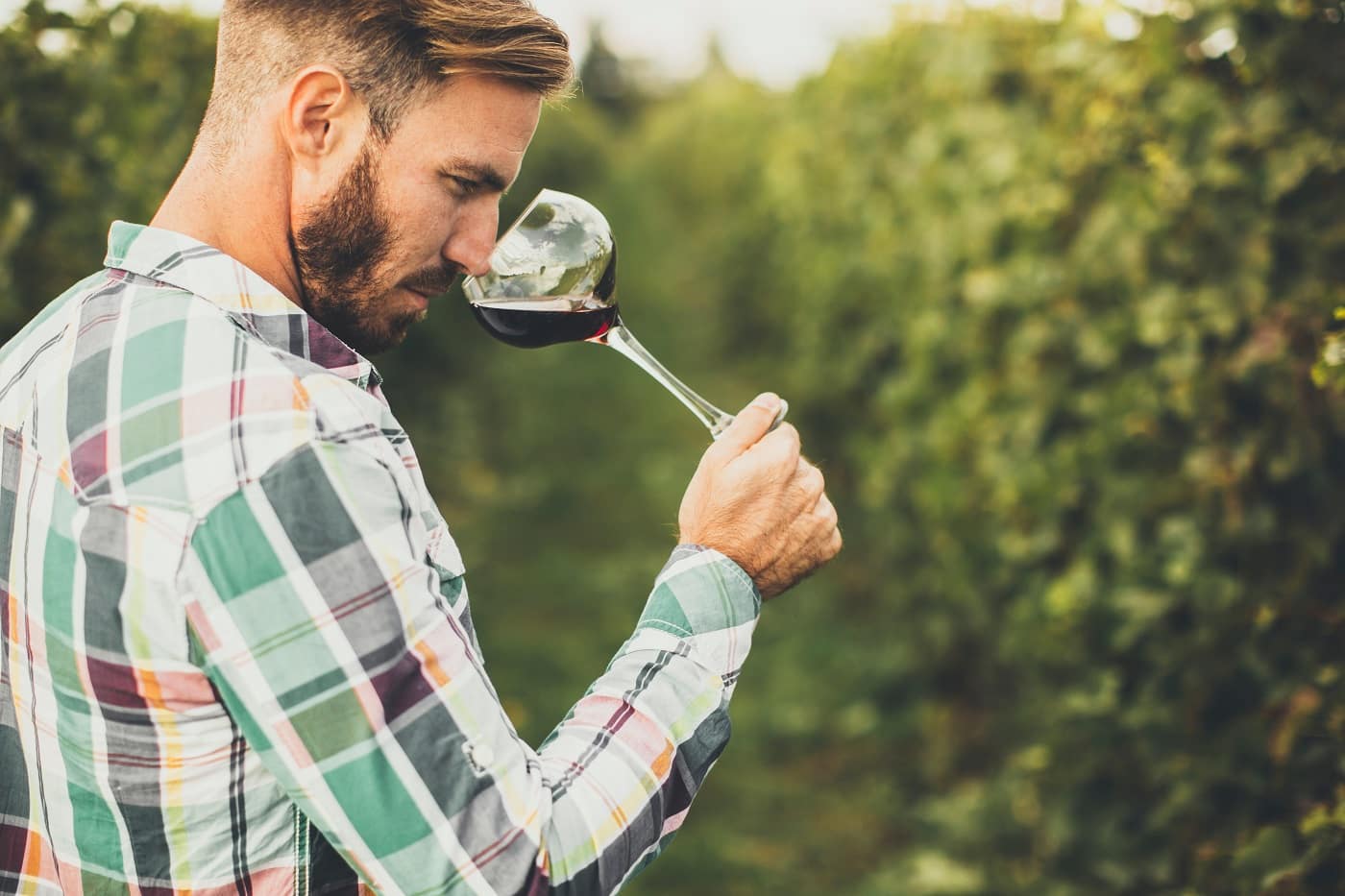 Cei 5 pași ai unei degustări de vinuri. Cum bei „corect” un pahar de vin și la ce trebuie să fii atent