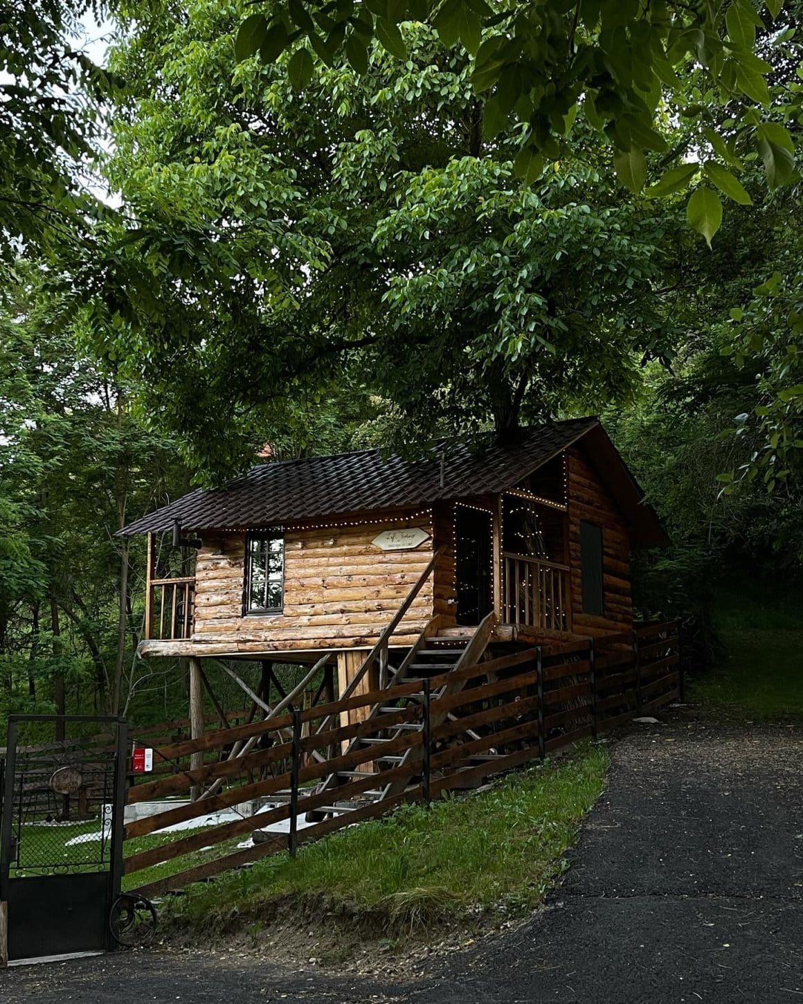 Transylvania Loft Treehouse, căsuță în copac, din lemn, inconjurata de verdeata