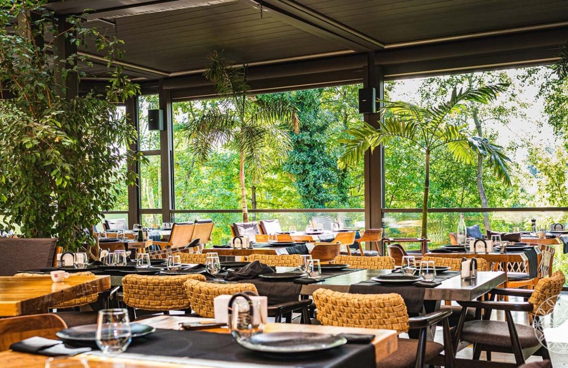 Restaurantul Zaitoone, mobilat elegant, cu geamuri mari si multi copaci la geam, unul din restaurante libaneze din București