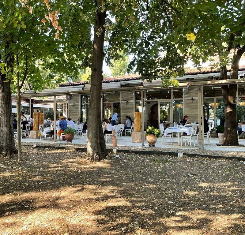 terasa restaurantului ancora din herastrau se zareste printre copaci, cu mobilier de terasa alb și uși de sticlă înalte