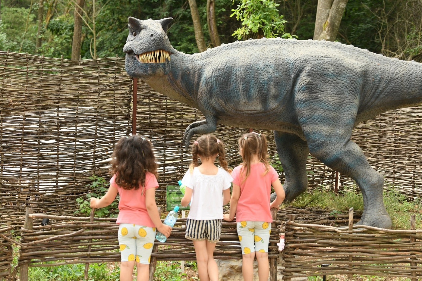 3 fetite fotografiate din spate se uita din dreptul unui gard la replica unui dinozaur in marime naturala. Destinații de vară pentru familiile cu copii