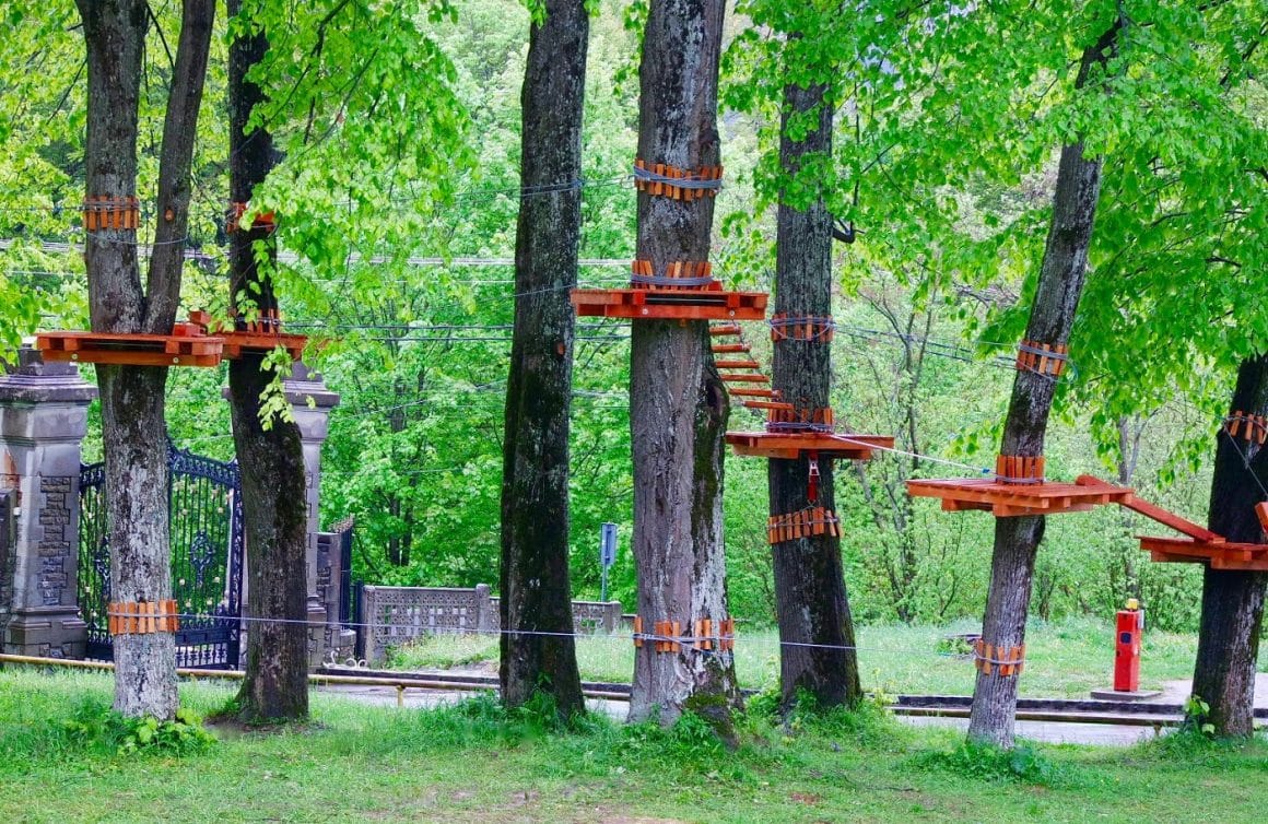 Instalatie de catarare si tiroliene in copaci la Castelul Cantacuzino.  Destinații de vară pentru familiile cu copii
