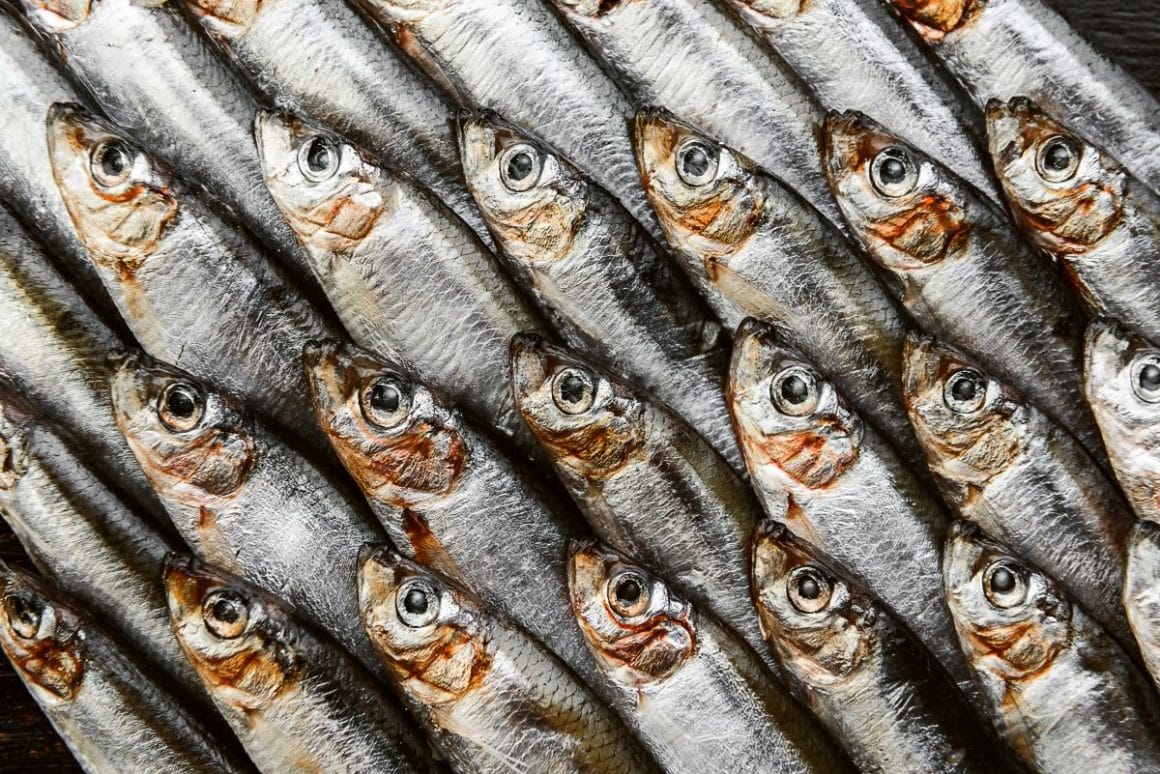 mai multi pesti sunt asezati unul langa altul, diagonal, formând un pattern de pești. 