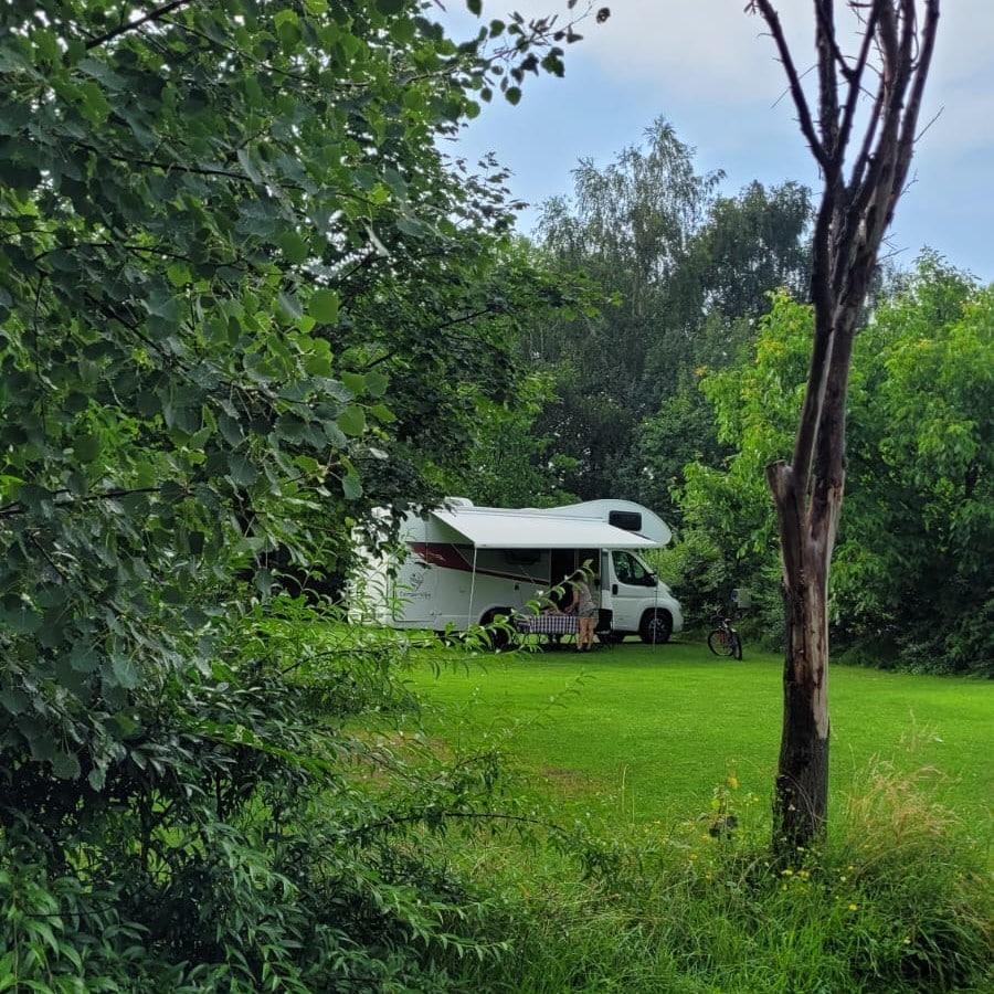 o autorulotă este parcata intr-un peisaj montan, cu copaci și o poieniță la vampire camping românia