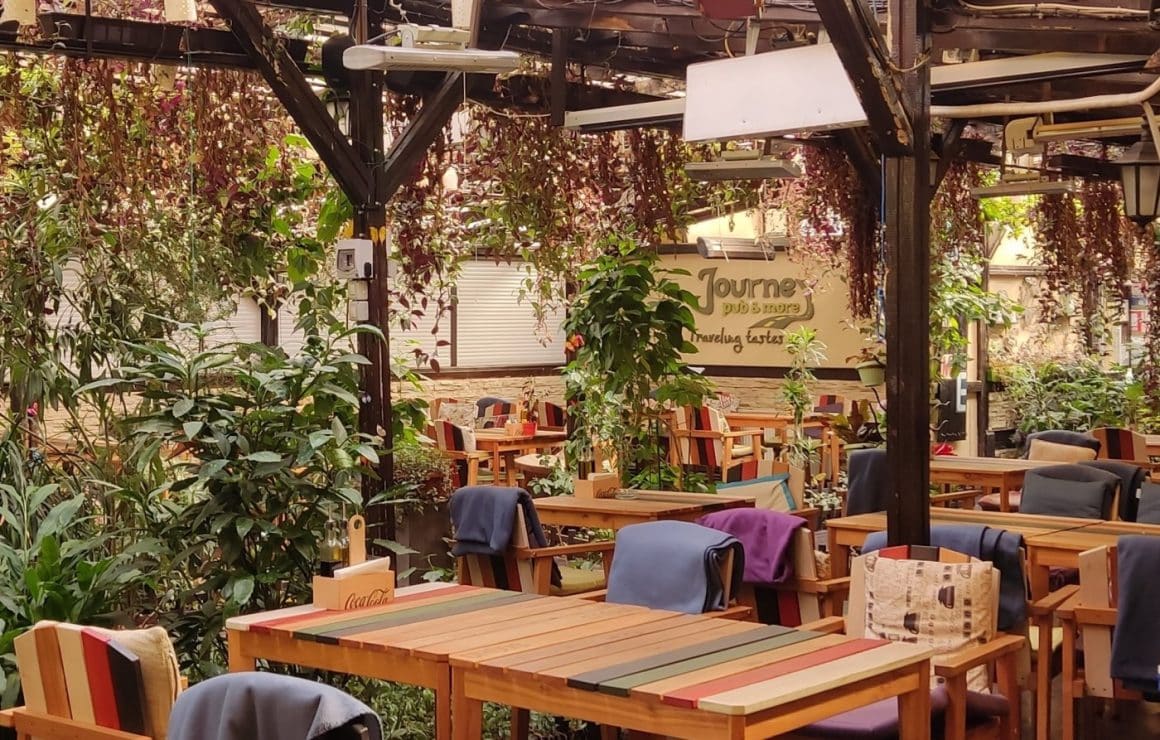 Journey Garden, plin cu plante decorative, una din cafenele moderne unde poți lucra liniștit