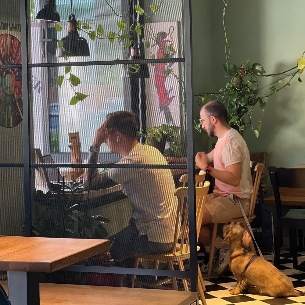 doi bărbati savureaza o cafea intr-o cafenea din oraș, în timp ce lucreaza la laptop