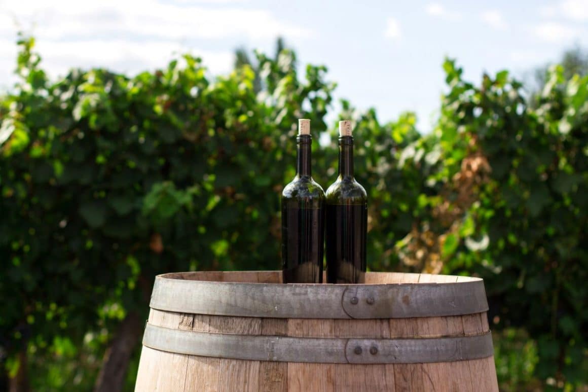 două sticle de vin ecologic sunt puse pe un butoi de lemn, în fața unor butași de vie. Ce sunt vinurile ecologice, vinurie bio
