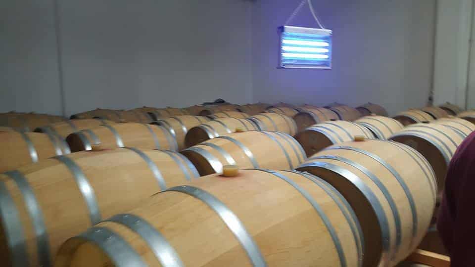 camera de maturare a vinului cu mai multe butoaie de vin