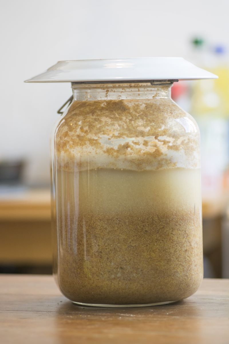 un borcan de sticlă in care sunt puse tărâțe la fermentat, cu o farfurie intoarsă drept capac