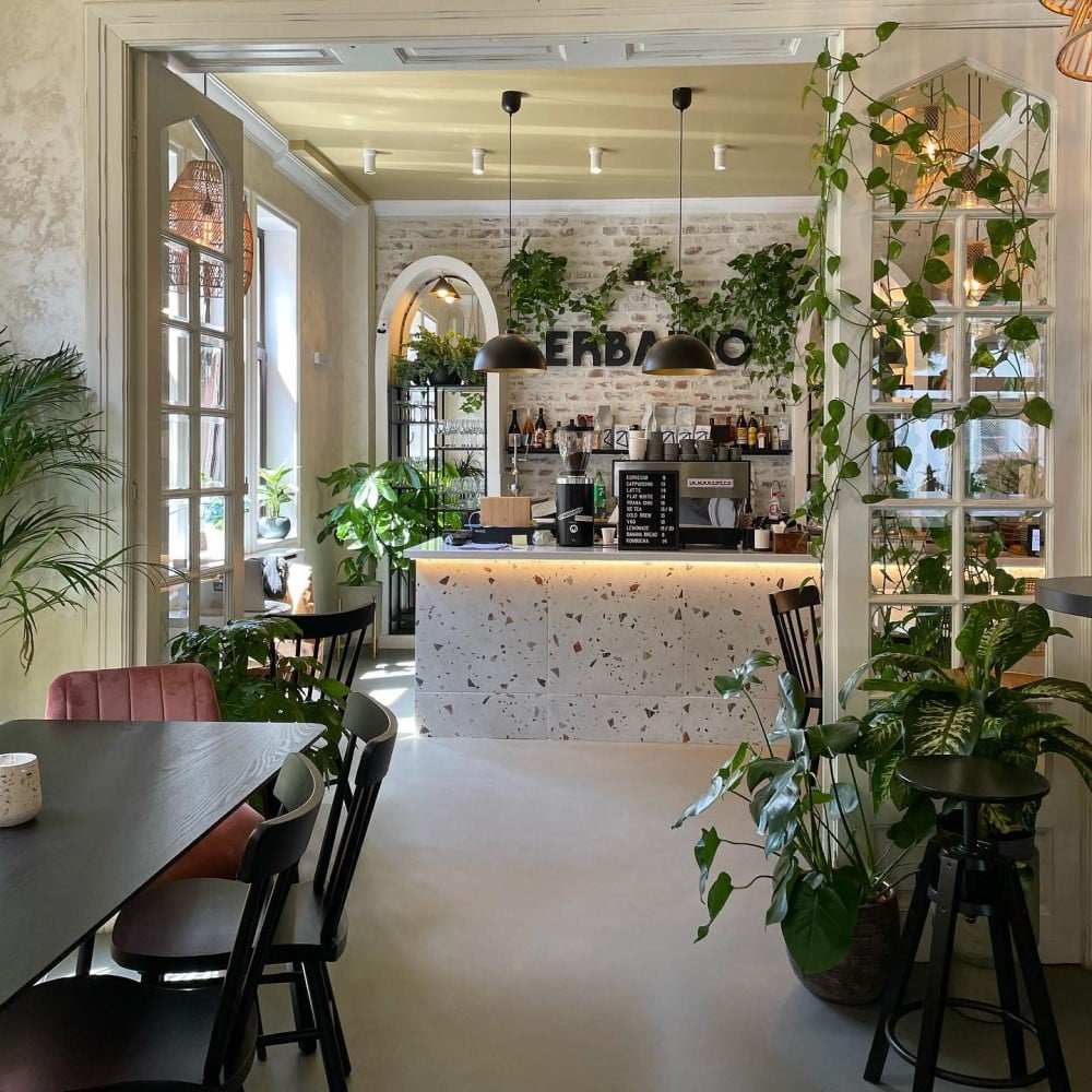 interiorul unei cafenele micute din bucuresti, cu multe plante verzi și geamuri mari