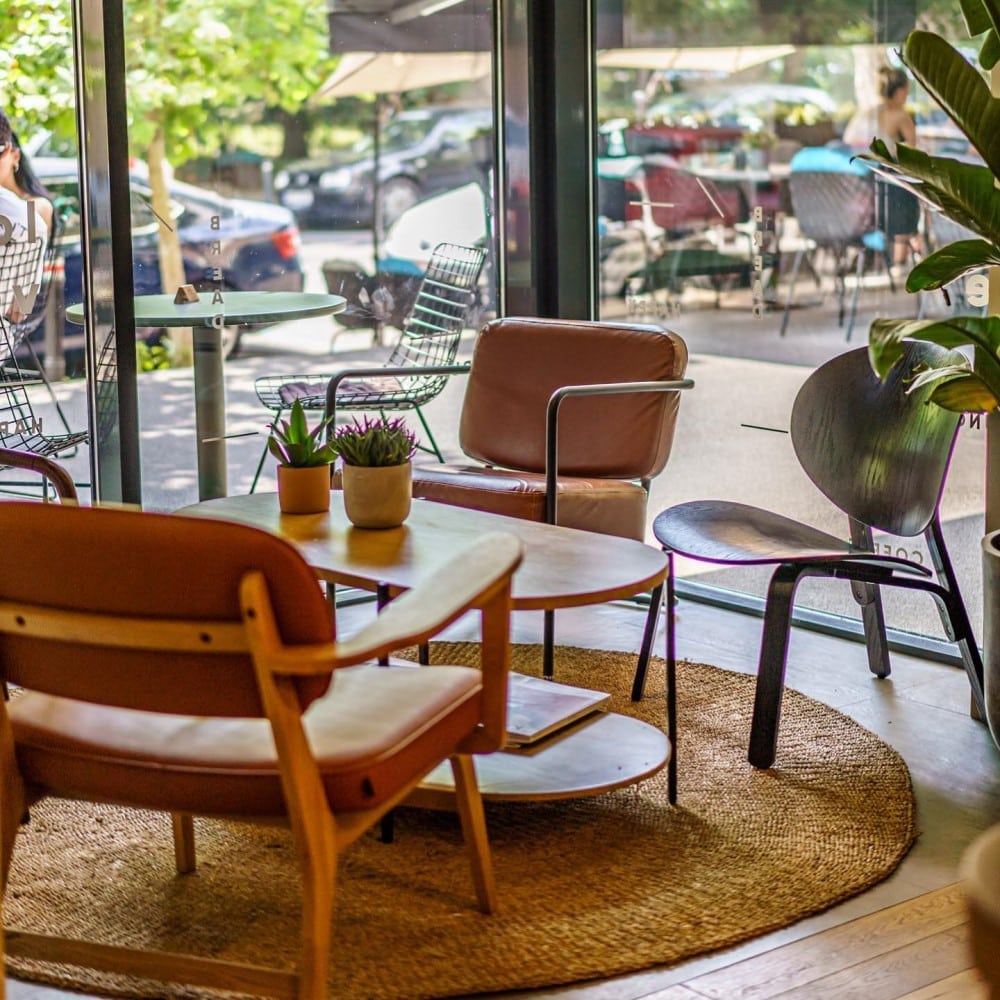 interiorul unei cafenele micute din bucuresti, cu multe plante verzi, geamuri mari și mobilier din lemn