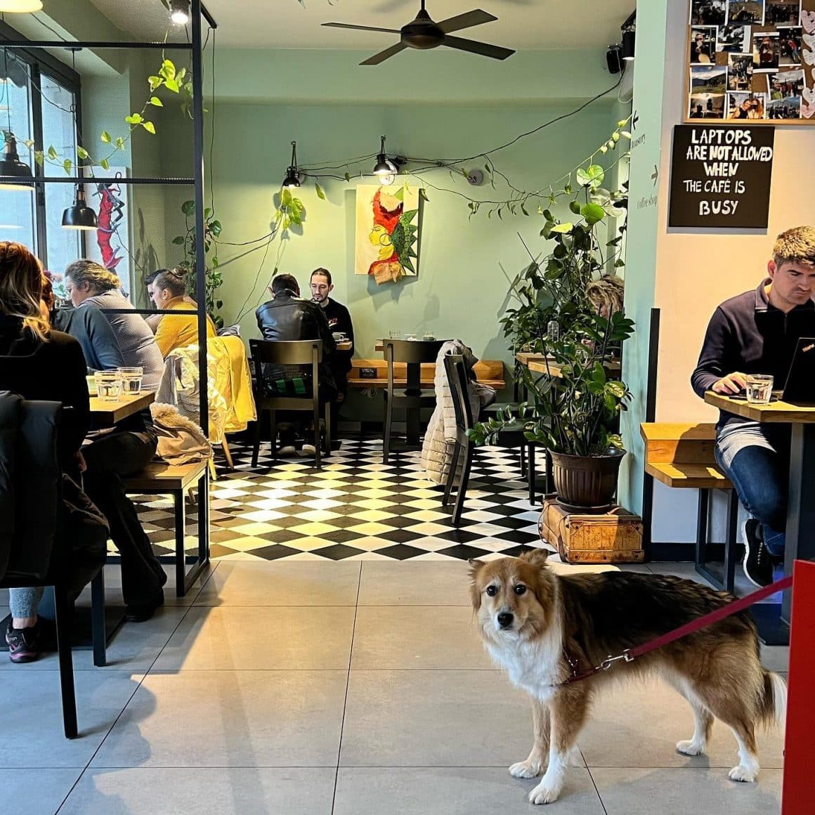 imagine din interiorul cafenelei Saint Roastery - localuri cu aer scandinav din București