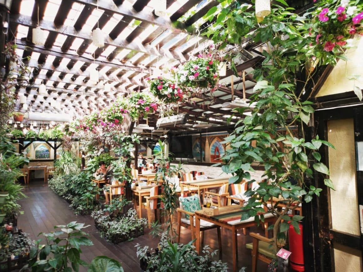 interiorul unui bar care organizează petreceri secret santa in bucuresti, cu multe plante și lumină