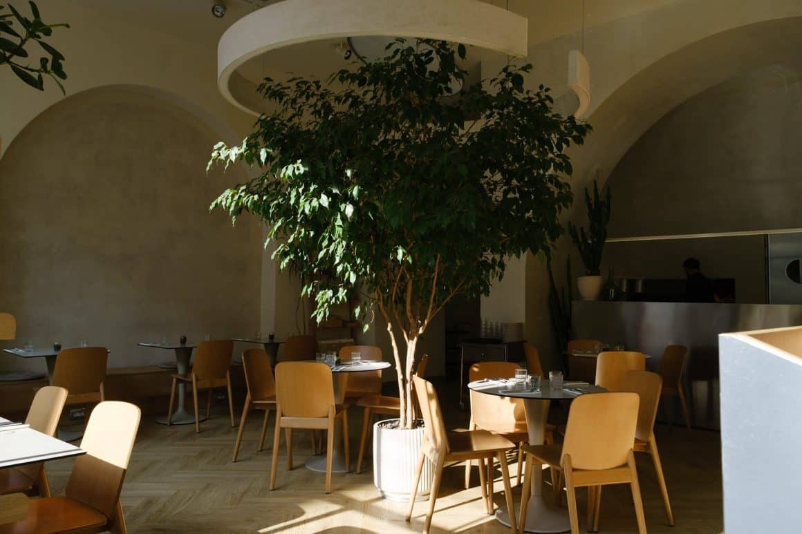 imagine de ansamblu din restaurantul MOM. Restaurante cozy București