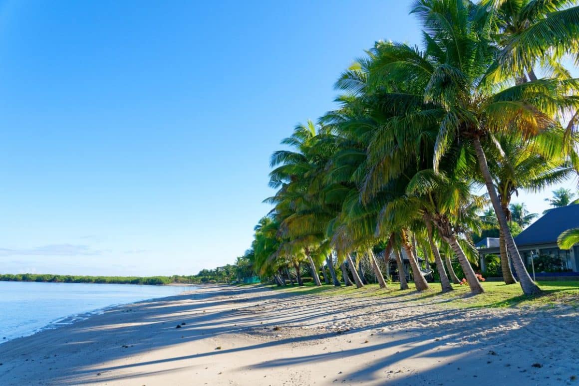un peisaj exotic cu palmieri, plaja și oceanul în fundal. destinații exotice de Revelion - Mauritius