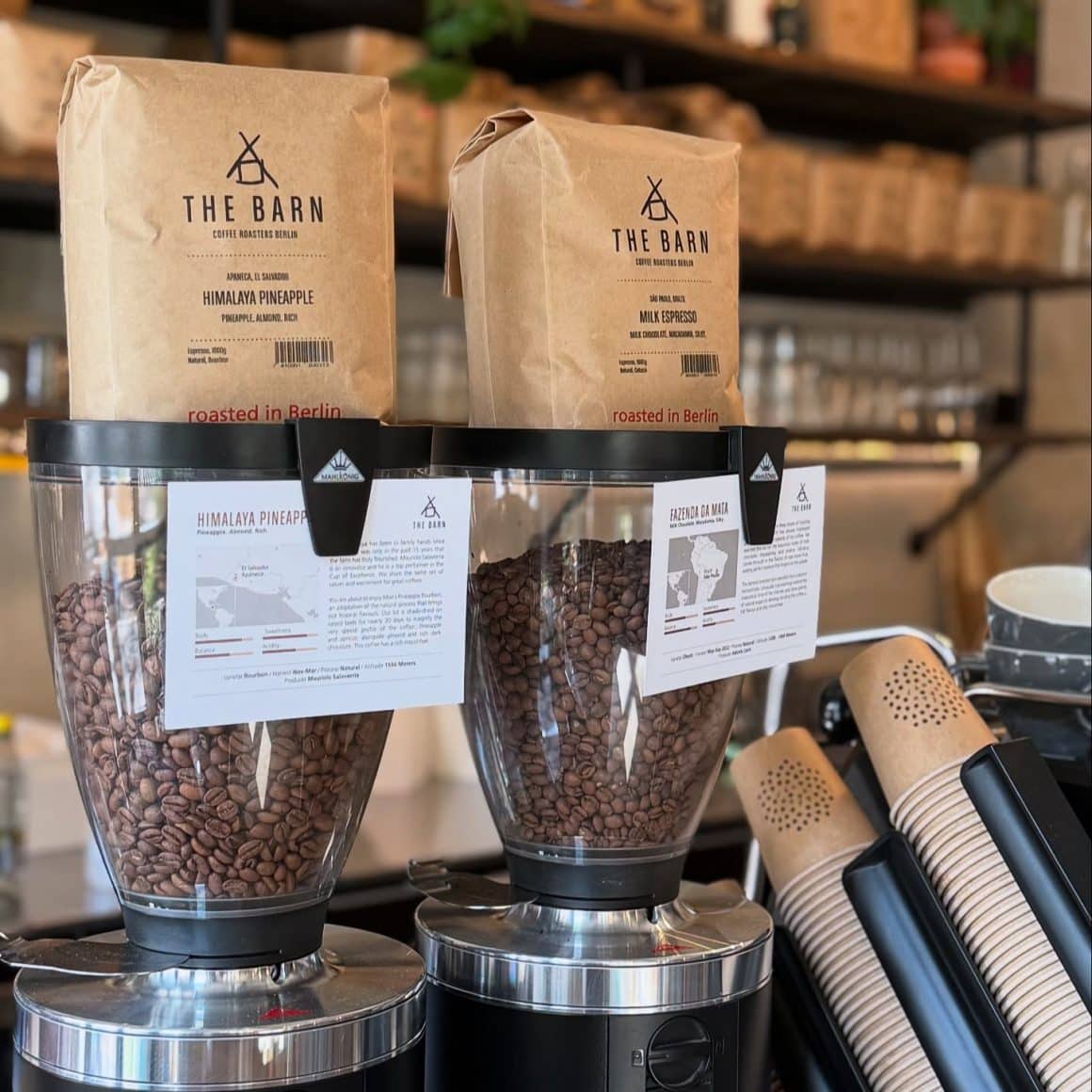 recipiente cu boabe de cafea de la The Barn, la Beans & Dots. prăjitorii d ecafea din București