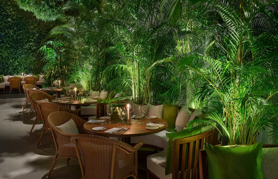 interiorul unui restaurant, cu foarte multe plante naturale înăuntru și mobilier din fibre naturale