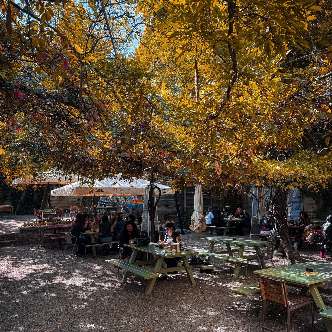 Bistrouri București: terasa verde de la J’ai Bistrot, cu mese de picnic la umbra copacilor și atmosferă relaxată.