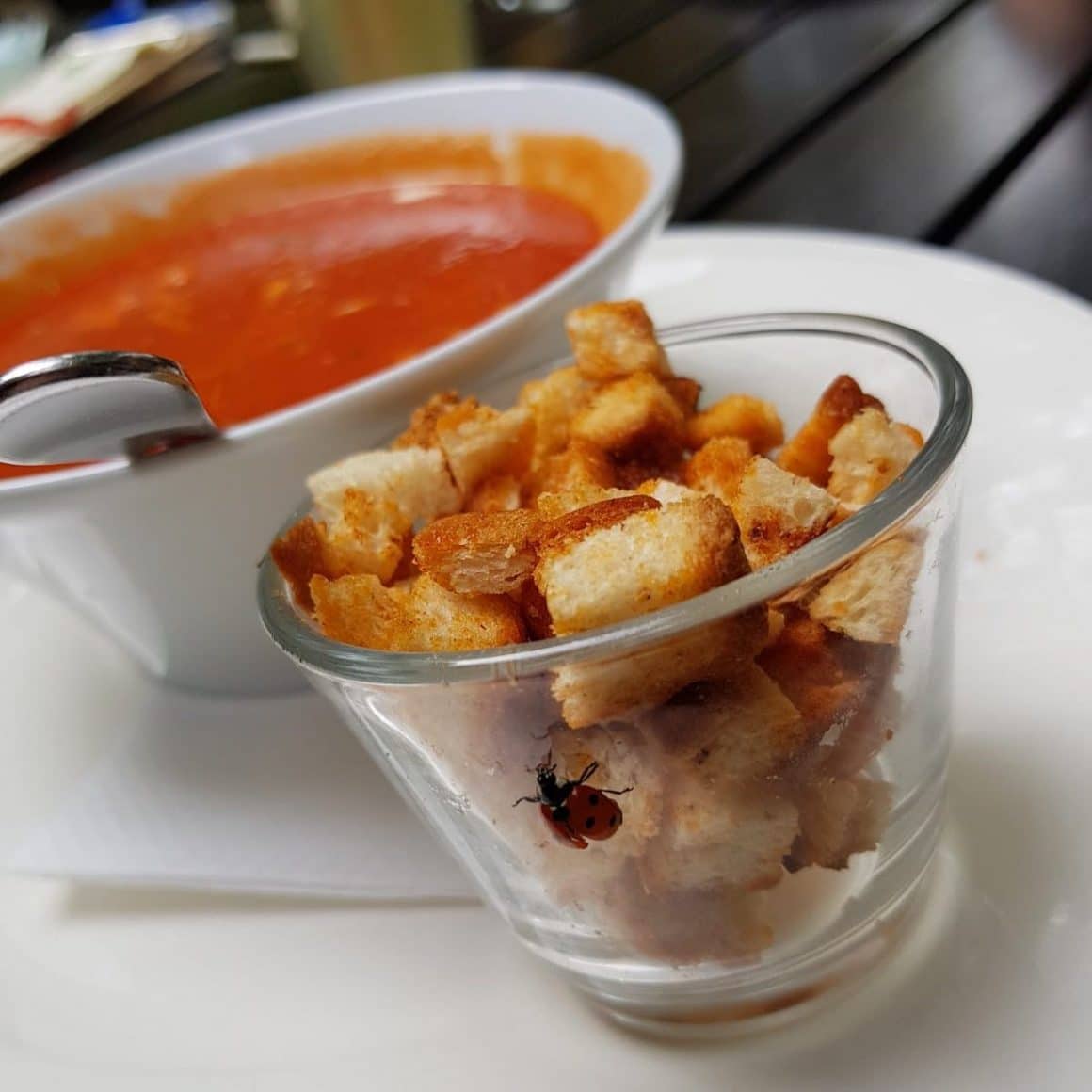 supa crema de rosii cu crutoane la Lente unde mâncăm o ciorbă bună în București 