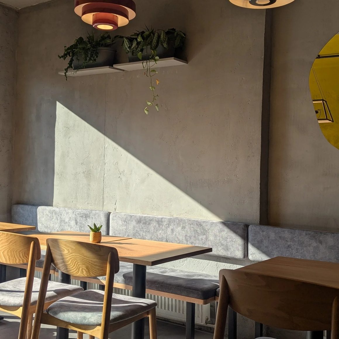 Zonă de dining la Pavlov Gastrobar, cu banchetă gri, mese din lemn și lumină naturală care pune în valoare decorul minimalist.
