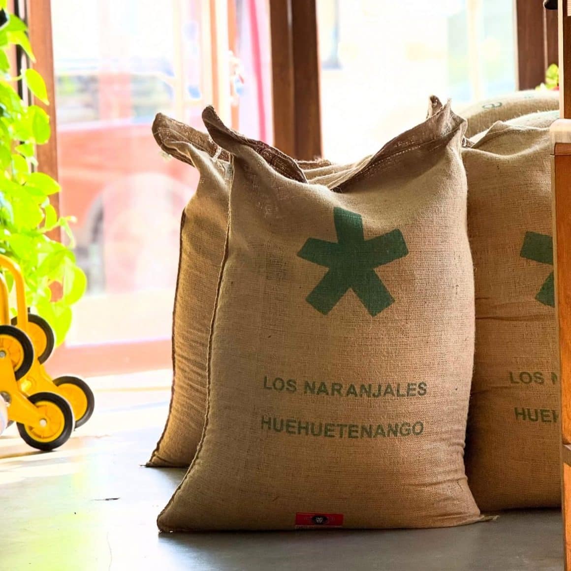 saci de cafea proaspătă, aduși la Saint Roastery pentru a fi prăjiți artizanala. 