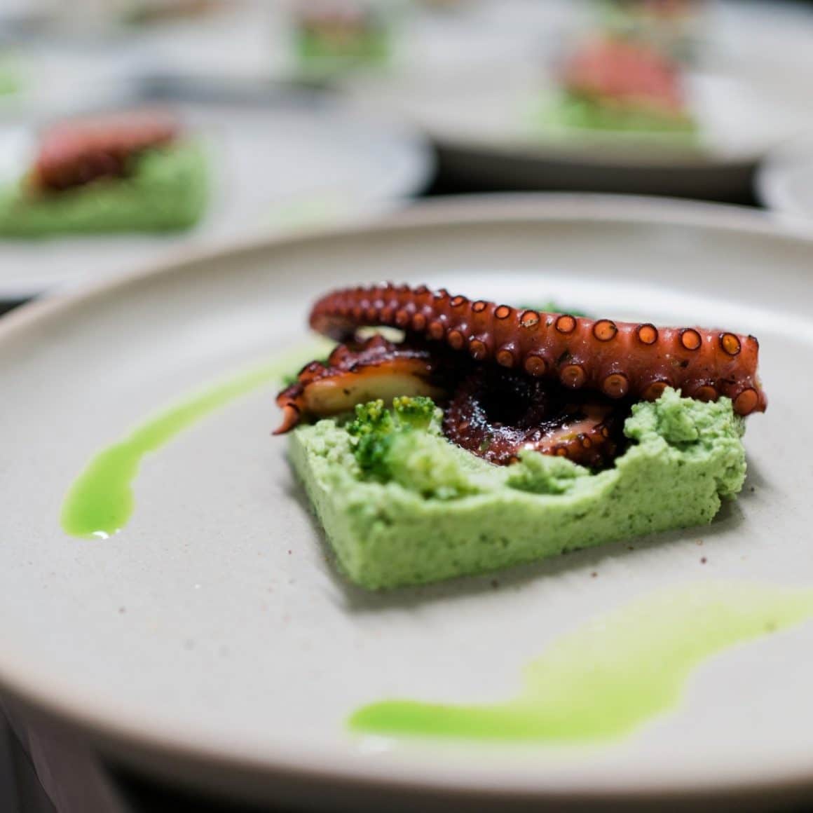 caracatita pe pat de piure verde la restaurant Hochmeister sibiu