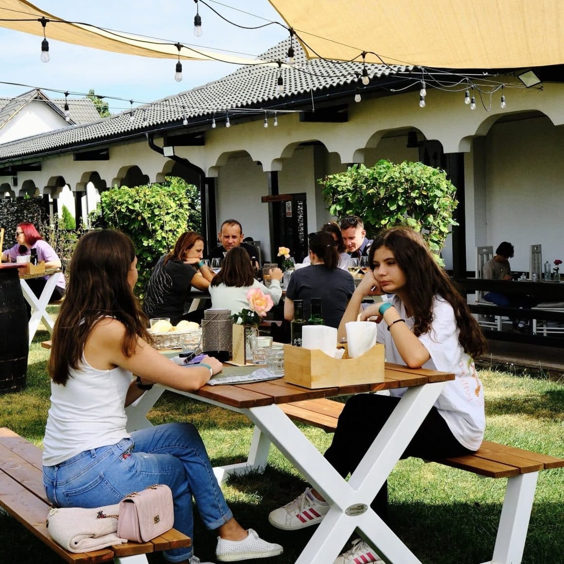 mai multi oameni iau masa si se relaxeaza in gradina de la Vinalia - Conacul din Ceptura. Restaurante lângă București