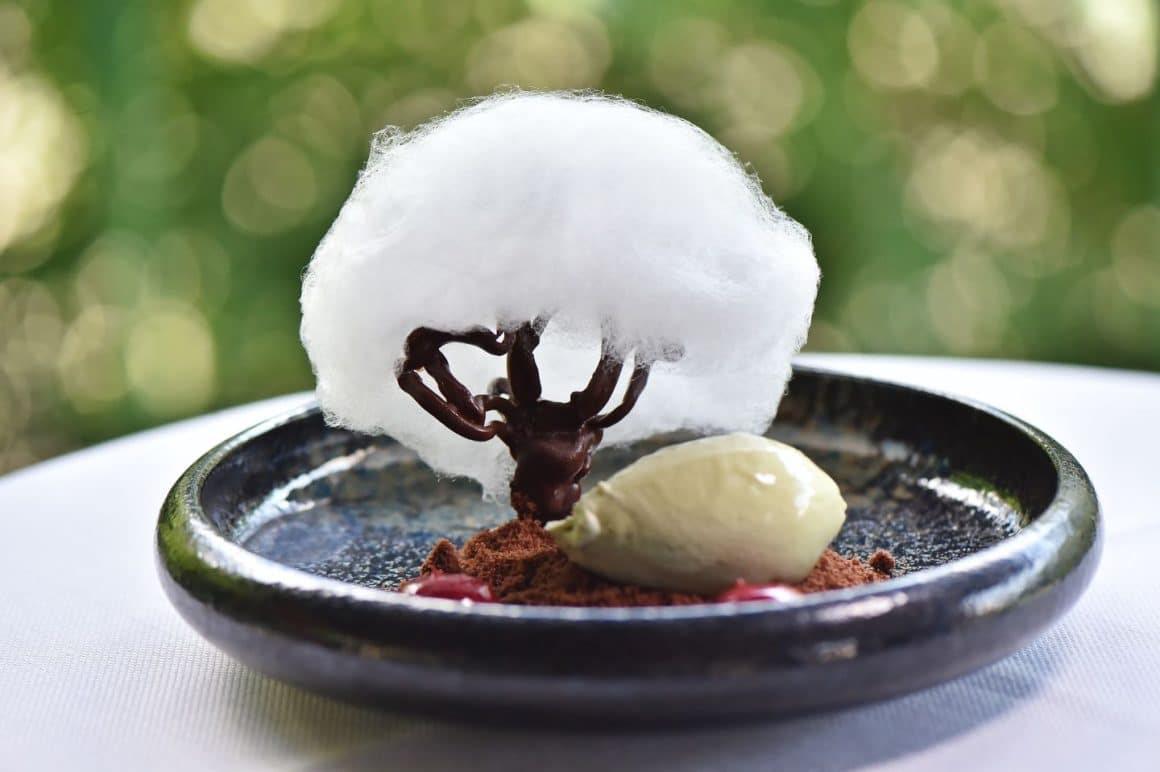 desert de fine dining, in forma de copac din zahar ars, cu inghetata