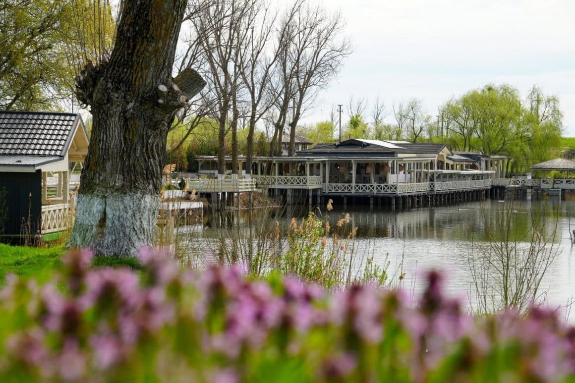 terasa de la Laguna Verde - restaurante lângă București