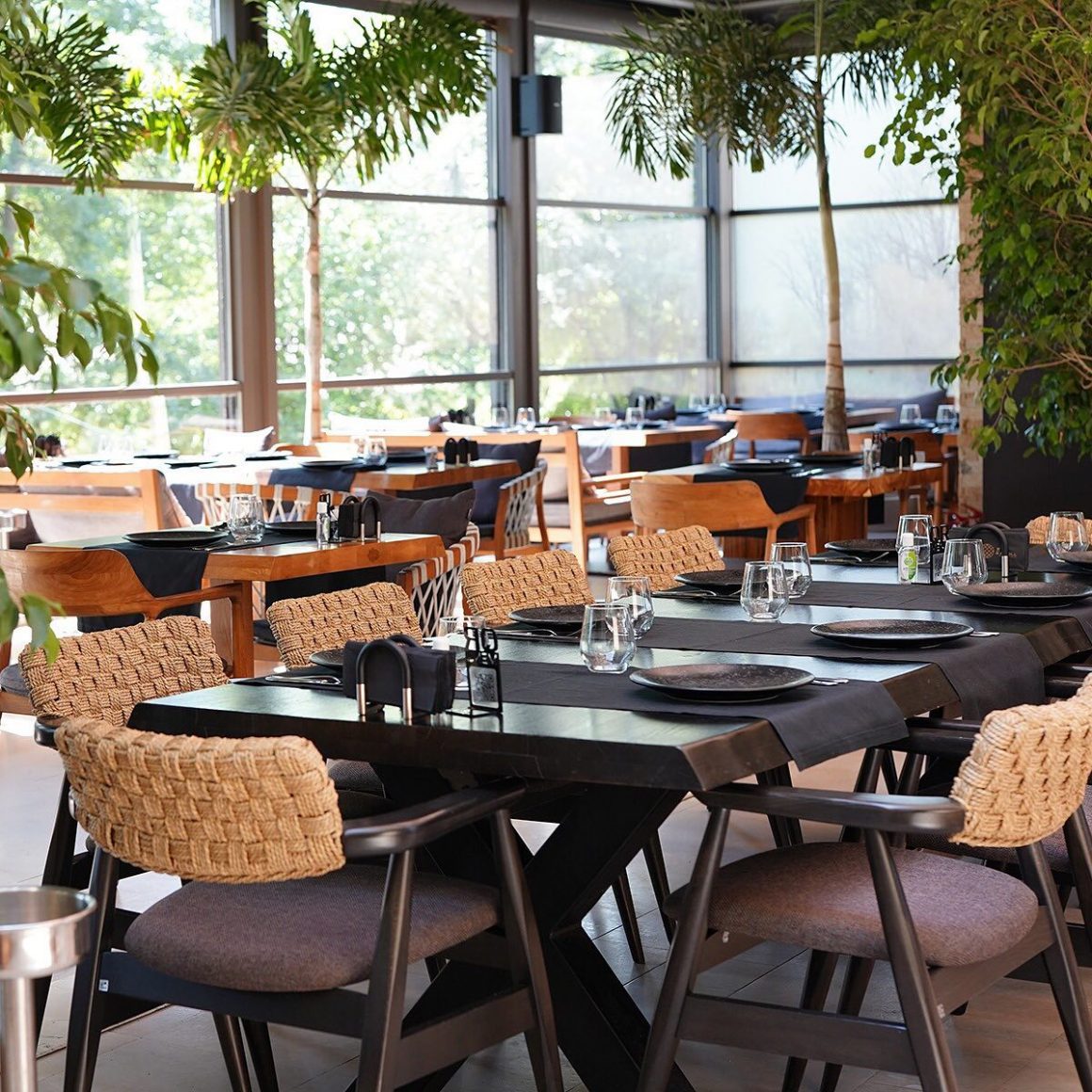 Terasă Zaitoone Herăstrău cu mese din lemn, scaune împletite și plante verzi, atmosferă relaxată de vară.