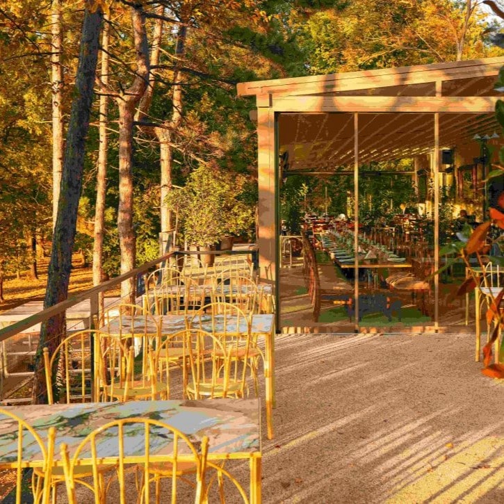 terasa Zeno inconjurata de copaci, fotografiata in lumina aurie a dupa amiezii. Terase Herăstrău