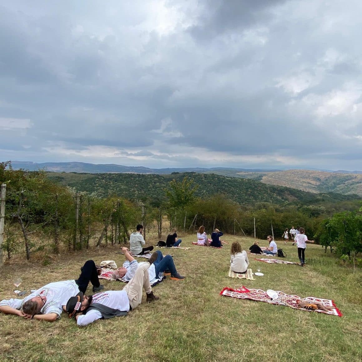 mai multi oameni la picnic in vie la Crama Serve din Ceptura