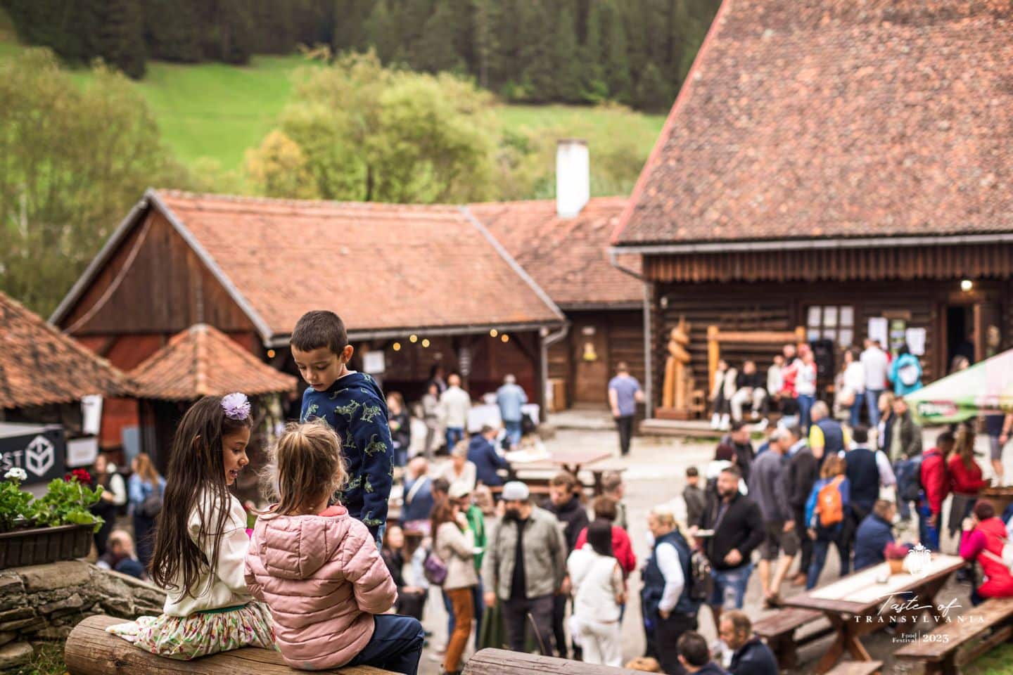 prim plan cu un grup de copii, iar in fundal, blurat, mai multe persoane care iau parte la Taste of Transylvania