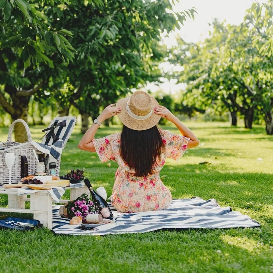 o femeie cu palarie, fotografiata de la sdoate, asezata pe o paturica, ia picnicul in via de la Crama Gîrboiu. Crame din România