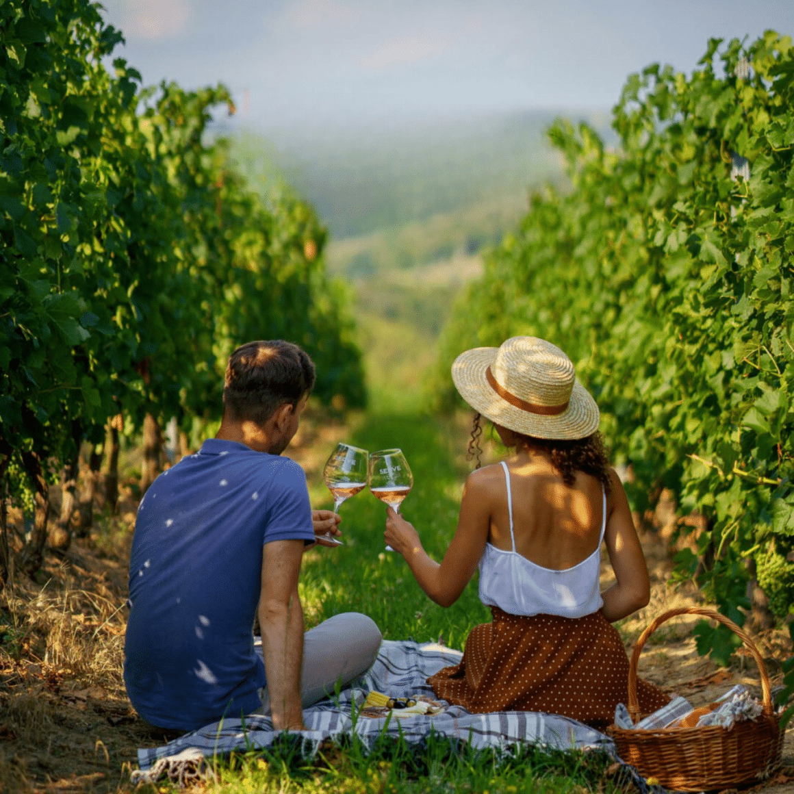 un cuplu fotografiat de la spate, vara, in vie, ciocnesc un pahar de vin. Crama Serve. Crame din România