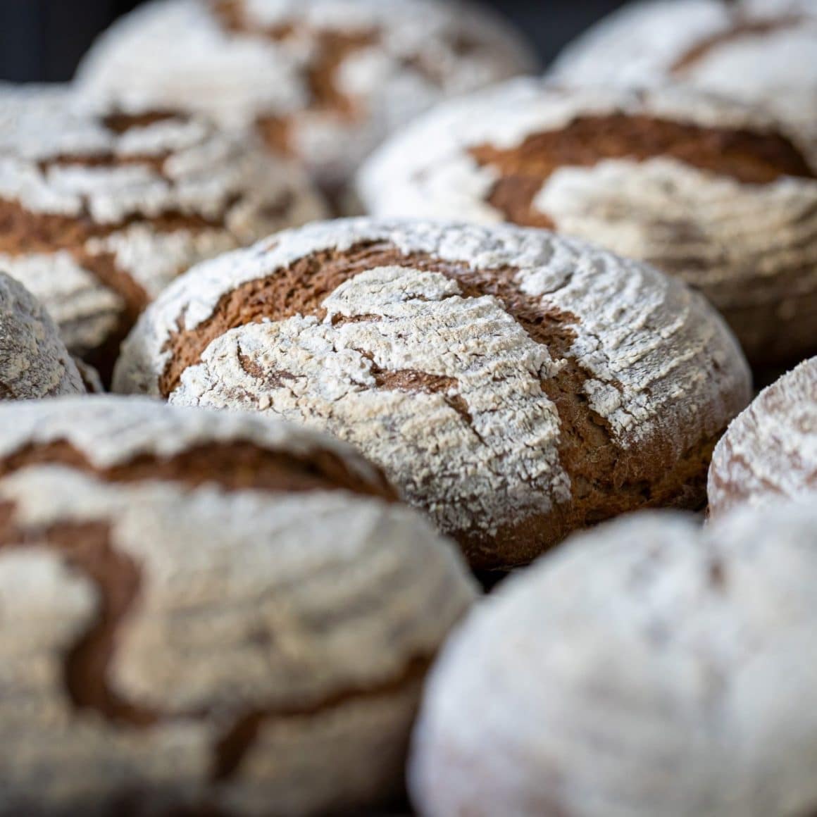 vlose up cu mai multe painici rotunde, pudrate cu faina, proaspăt scoase din cuptor. La Bread & Spices. Brutării artizanale din București