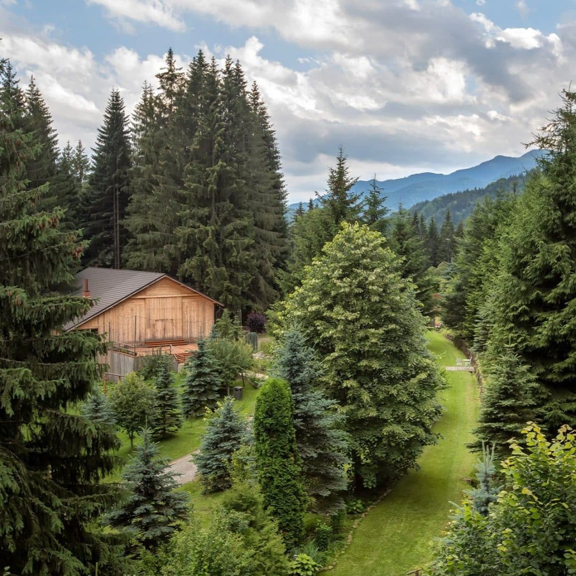 cabana inconjurata de brazi si verdeata, la munte. Hadar Inima Pădurii. destinații de tip retreat din România