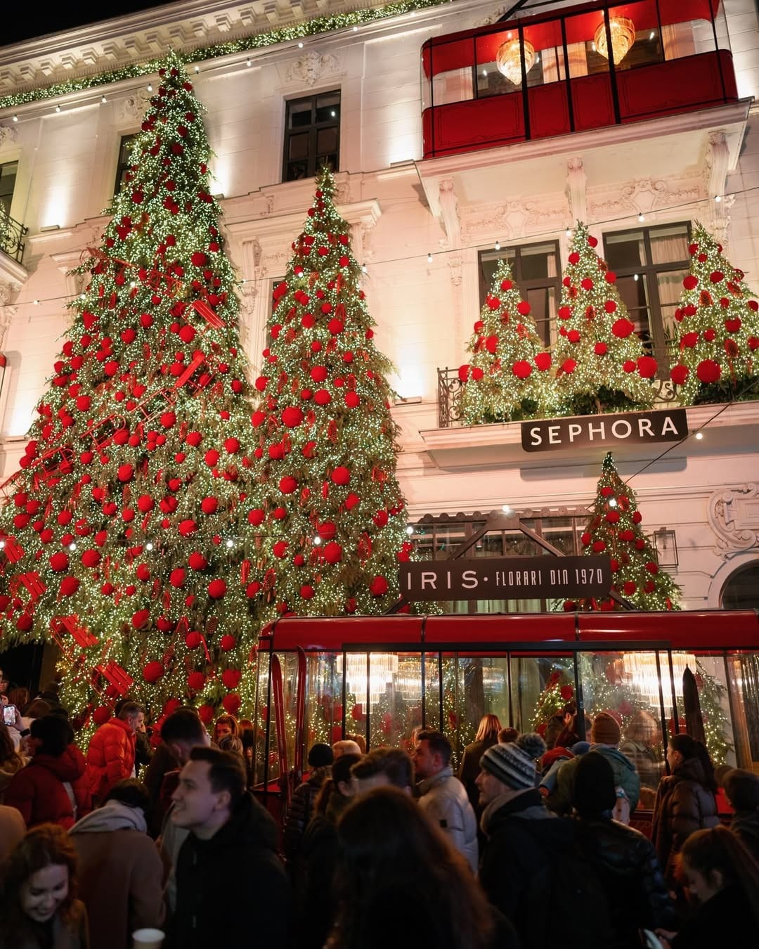 Florăria Iris București, decorata de Craciun. Locații de Crăciun București