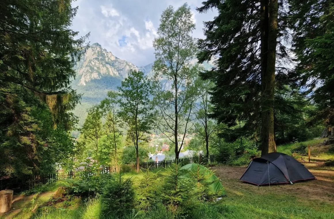 Prim plan cu un cort asezat intr-o curte cu brazi, iar in fundal Munții Bucegi. Hay Huy Camp. Cele mai frumoase campinguri din România.