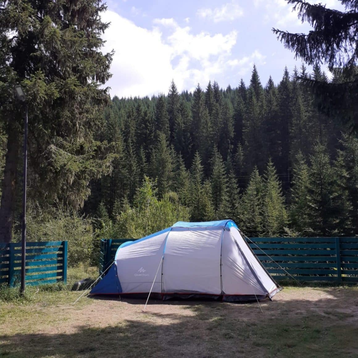 cort pe iarba, iar in fundal padure de brazi