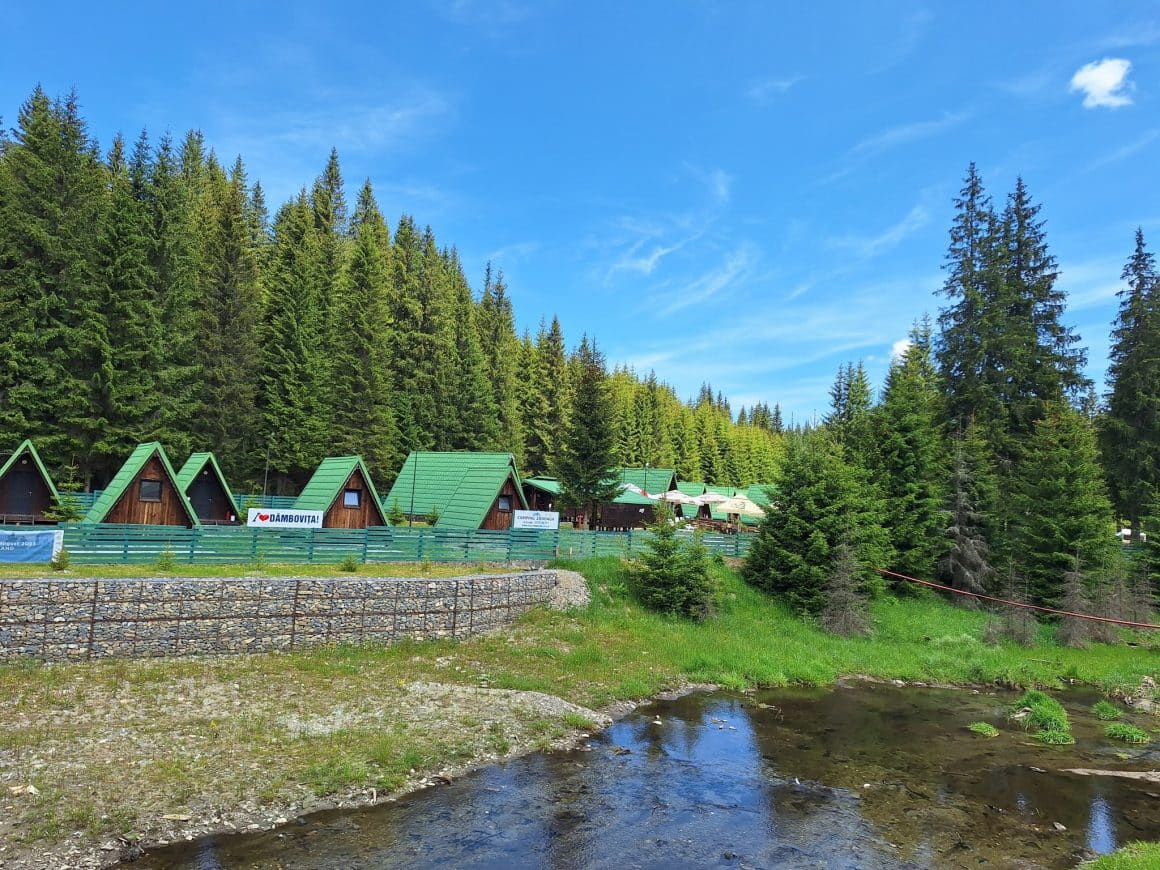 casute de camping in fata unei paduri de brazi la Camping Zănoaga. Cele mai frumoase campinguri din România. 