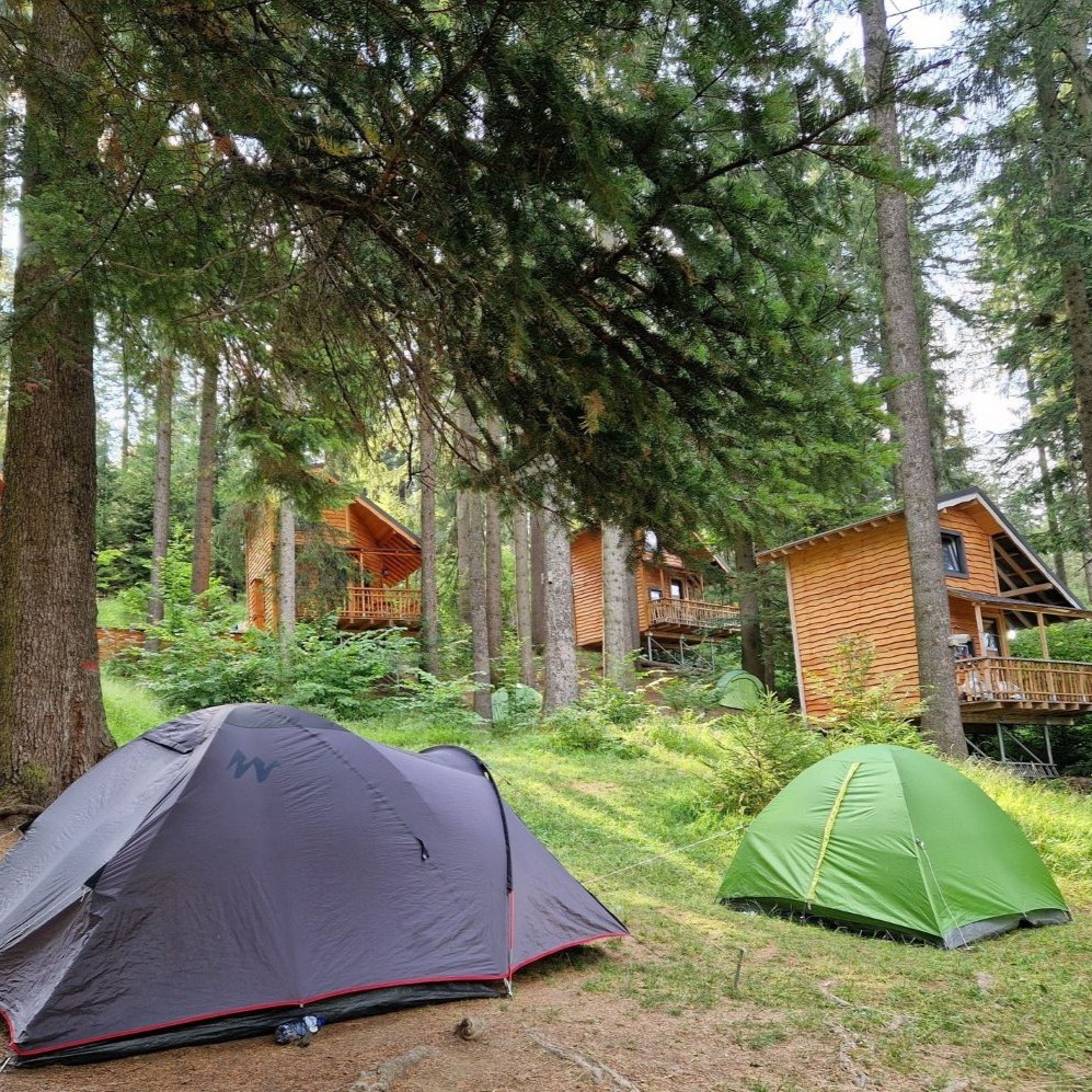 corturi asezate intr-o padure de brazi, iar un fundal casute de lemn Hay Huy Camp. Cele mai frumoase campinguri din România. 