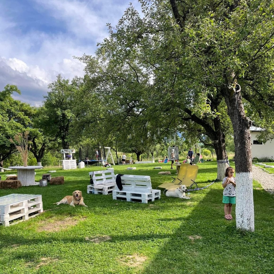 curtea mare, spatioasa, plina de copaci si verdeata de la Heaven Camping Bran