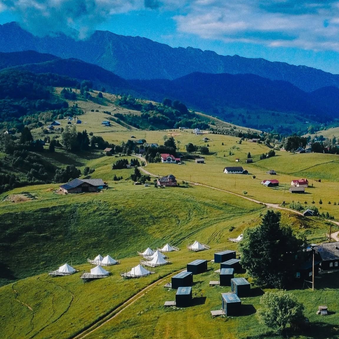 mai multe corturi de glamping răsfirate pe un deal inverzit. Ursa Mică. Cele mai frumoase campinguri din România
